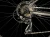 RoweryTrek/RowerMTBTrek/RowerMARLIN4/TrekMARLIN4DnisterBlack/9.webp