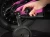 Precaliber12_23_36265_B_Alt4.webp