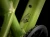 Wahoo20Trail-24-41014-B-Alt3.webp