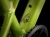 Wahoo24Trail-24-41013-B-Alt3.webp