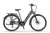 RoweryElektryczneEcobike/RowerEcobike/RowerX-CITY/EcobikeX-CityCoffee.webp